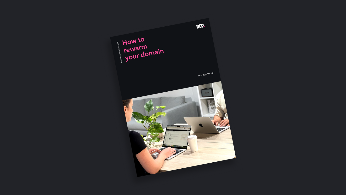 Domain Rewarming eBook
